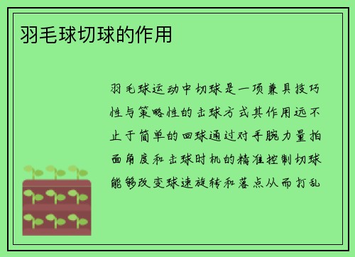 羽毛球切球的作用